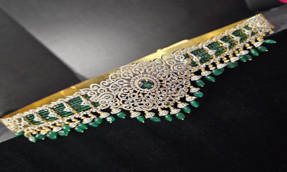 Elegance Redefined with Silver Vaddanam Designs and Pista Colour Saree